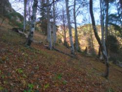 2013-10-26_Schildenstein (147)b.JPG